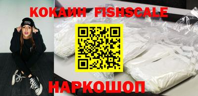 крисы Камышлов