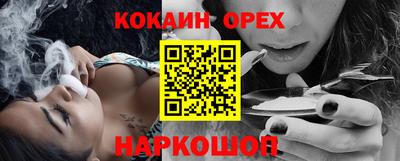 крисы Камышлов