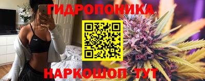крисы Камышлов