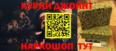 крисы Камышлов