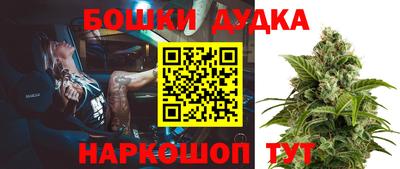 крисы Камышлов