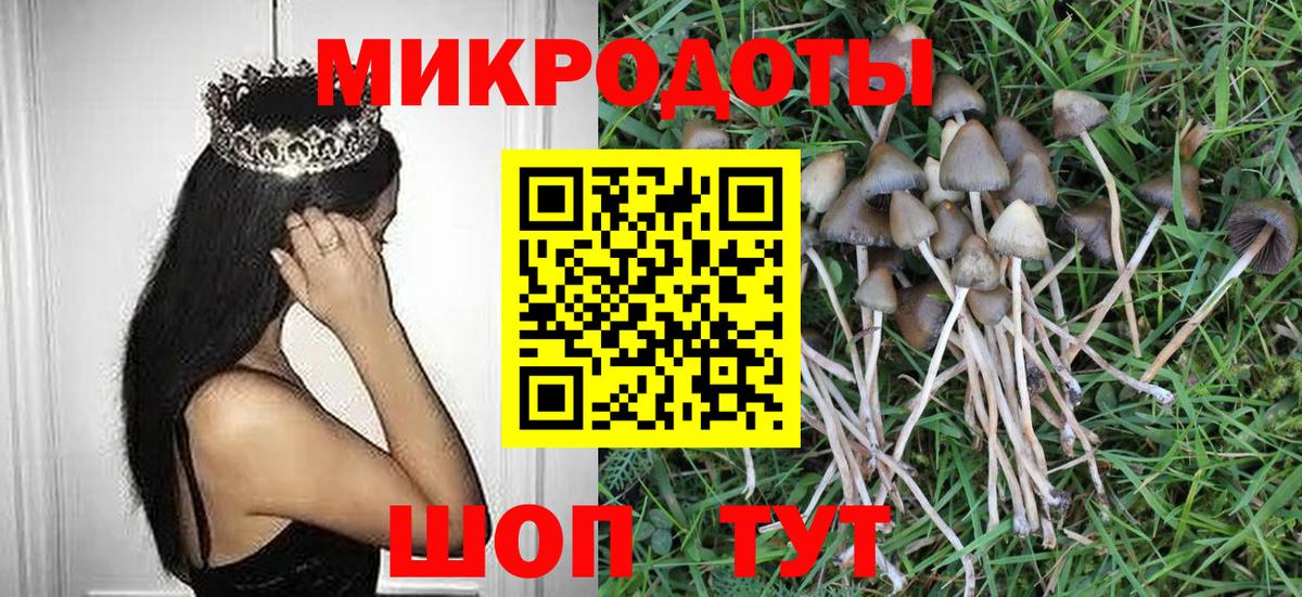 Псилоцибиновые грибы ЛСД Кстово